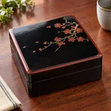 Illustrative image of Bento Box